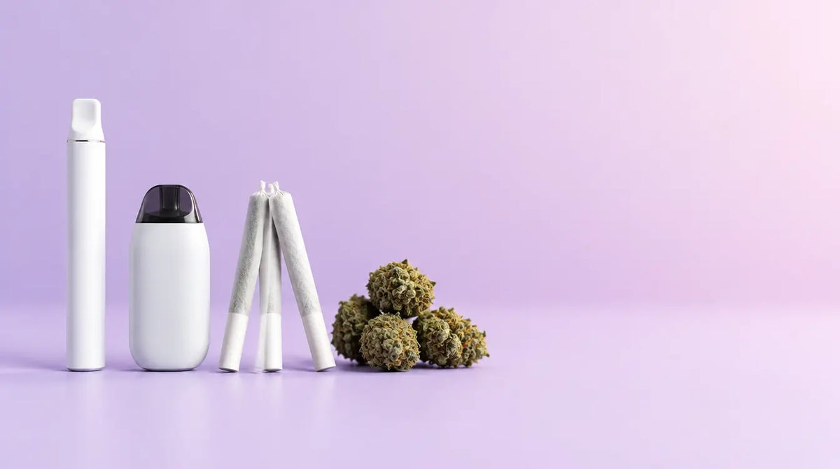 Sheesh Vapes, Pods, Rollz und Budz im Vergleich