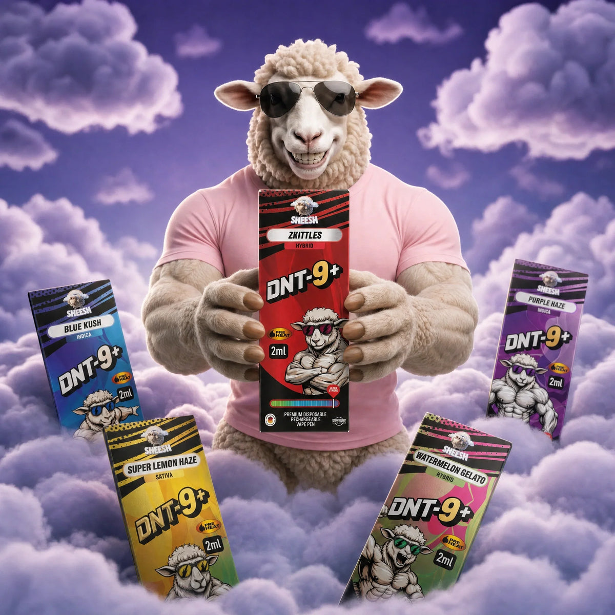 Mix and Match Bundle mit fünf SHEESH DNT-9+ Vapes zu je 2 ml